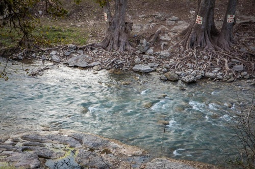 Honey Haus on the Horseshoe Home image 9